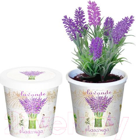 Изображение товара Набор для выращивания растений Rostokvisa Лаванда / X1497