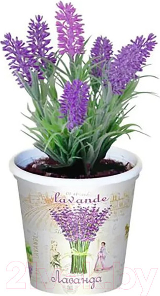 Изображение товара Набор для выращивания растений Rostokvisa Лаванда / X1497