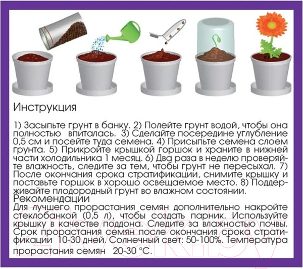 Изображение товара Набор для выращивания растений Rostokvisa Лаванда / X1497
