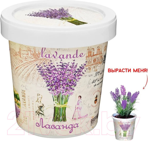 Изображение товара Набор для выращивания растений Rostokvisa Лаванда / X1497