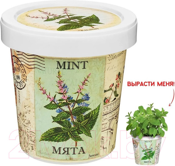 Изображение товара Набор для выращивания растений Rostokvisa Мята / W1487