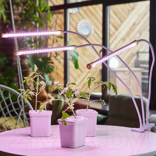 Изображение товара Светильник для растений Uniel ULT-P33-18W/SPLE/TM/60 / UL-00008904