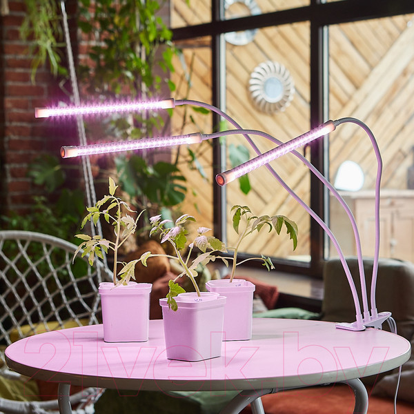 Изображение товара Светильник для растений Uniel ULT-P33-18W/SPLE/TM/60 / UL-00008904