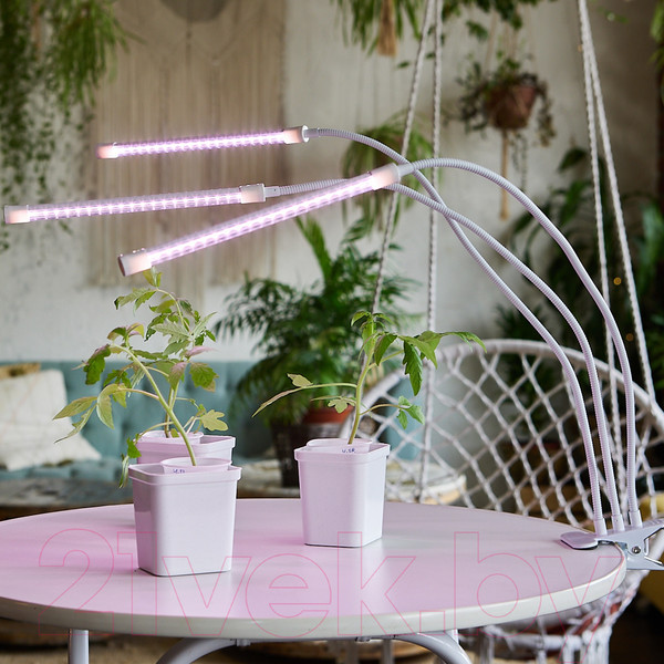 Изображение товара Светильник для растений Uniel ULT-P33-18W/SPLE/TM/60 / UL-00008904