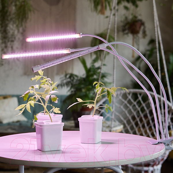 Изображение товара Светильник для растений Uniel ULT-P33-18W/SPLE/TM/60 / UL-00008904