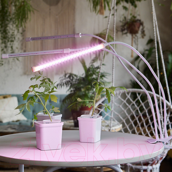 Изображение товара Светильник для растений Uniel ULT-P33-18W/SPLE/TM/60 / UL-00008904