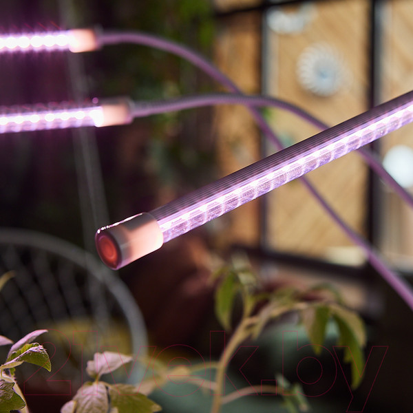 Изображение товара Светильник для растений Uniel ULT-P33-18W/SPLE/TM/60 / UL-00008904