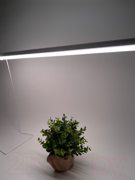 Изображение товара Светильник для растений Uniel ULI-P11-24W/SPFR IP40 / UL-00008919 (белый)