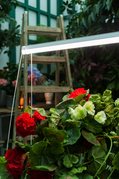 Изображение товара Светильник для растений Uniel ULI-P11-24W/SPFR IP40 / UL-00008919 (белый)