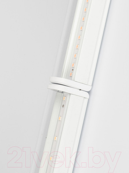 Изображение товара Светильник для растений Uniel ULI-P20-10W/SPSB IP40 / UL-00002991 (белый)