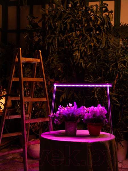 Изображение товара Светильник для растений Uniel ULI-P20-10W/SPSB IP40 / UL-00002991 (белый)