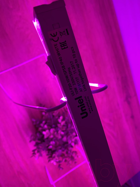 Изображение товара Светильник для растений Uniel ULI-P20-10W/SPSB IP40 / UL-00002991 (белый)