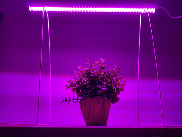 Изображение товара Светильник для растений Uniel ULI-P20-10W/SPSB IP40 / UL-00002991 (белый)