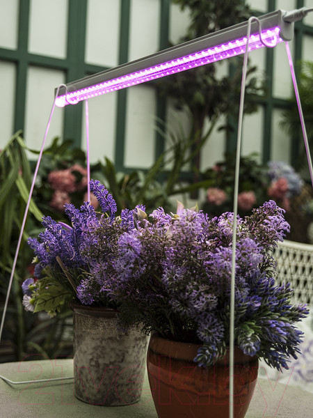 Изображение товара Светильник для растений Uniel ULI-P20-18W/SPSB IP40 / UL-00002992 (белый)