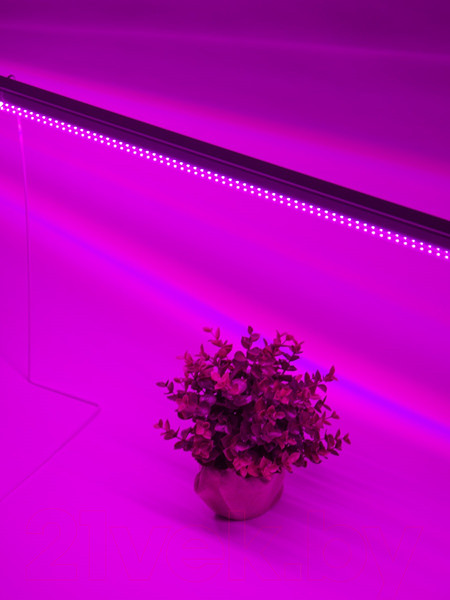 Изображение товара Светильник для растений Uniel ULI-P21-24W/SPSB IP40 / UL-00008921 (белый)