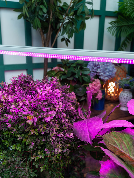 Изображение товара Светильник для растений Uniel ULI-P21-24W/SPSB IP40 / UL-00008921 (белый)