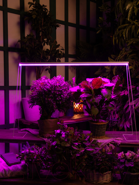 Изображение товара Светильник для растений Uniel ULI-P21-35W/SPSB IP40 / UL-00002993 (белый)