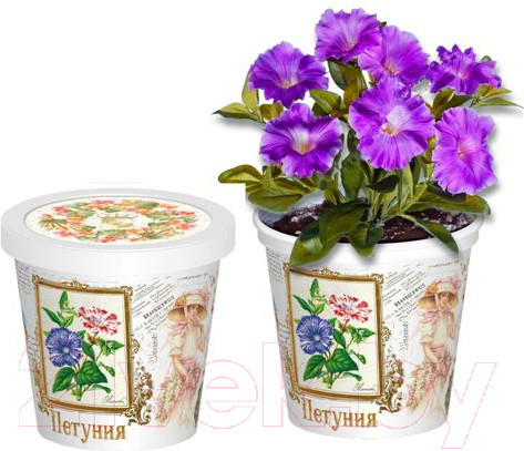 Изображение товара Набор для выращивания растений Rostokvisa Петуния / A1506