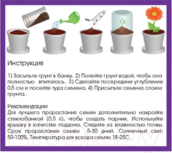 Изображение товара Набор для выращивания растений Rostokvisa Петуния / A1506