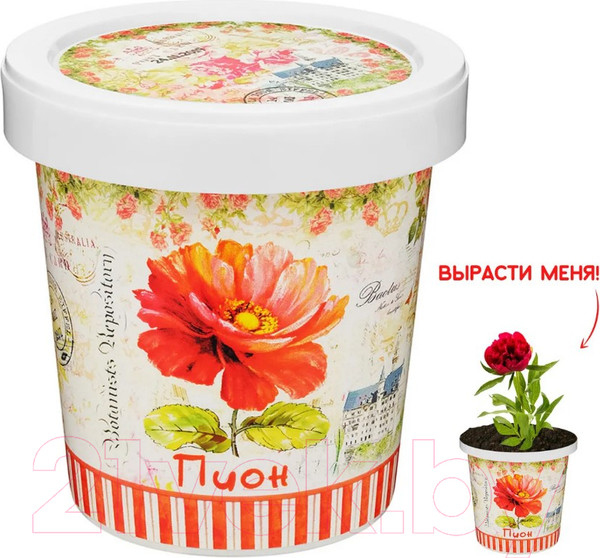 Изображение товара Набор для выращивания растений Rostokvisa Пион / 77700