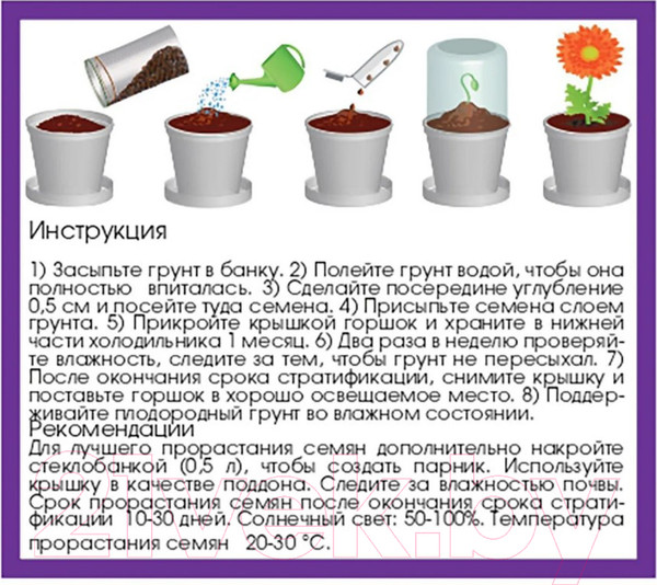 Изображение товара Набор для выращивания растений Rostokvisa Роза китайская / 02098