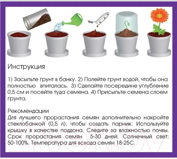 Изображение товара Набор для выращивания растений Rostokvisa Розмарин / q1491