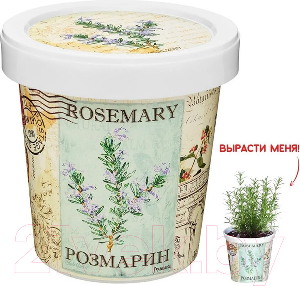 Изображение товара Набор для выращивания растений Rostokvisa Розмарин / q1491