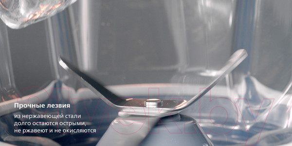 Изображение товара Блендер стационарный Philips HR2041/00