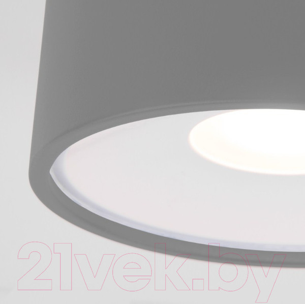 Изображение товара Светильник уличный Elektrostandard Light LED 2135 35141/H (серый)