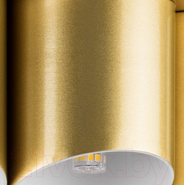 Изображение товара Люстра Lightstar Siena 720222 (MX2095/22A)