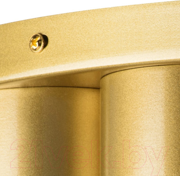 Изображение товара Люстра Lightstar Siena 720222 (MX2095/22A)