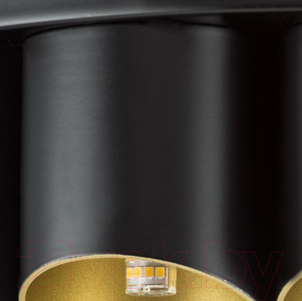 Изображение товара Люстра Lightstar Siena 720227 (MX2095/22A)