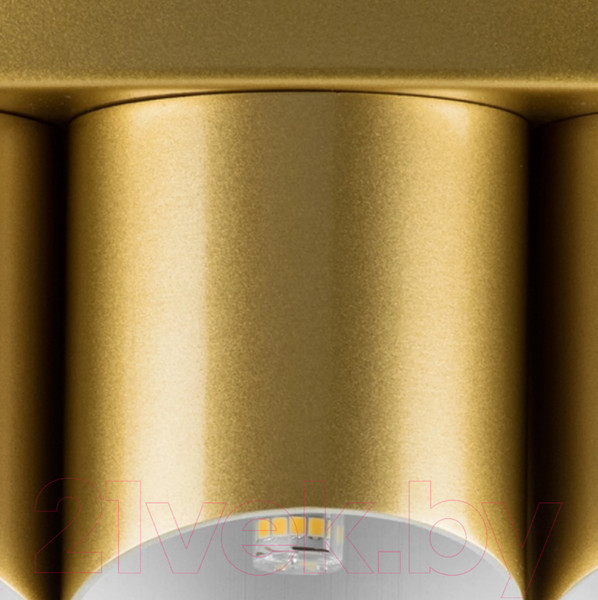 Изображение товара Люстра Lightstar Siena 720402 (MX2095/40A)