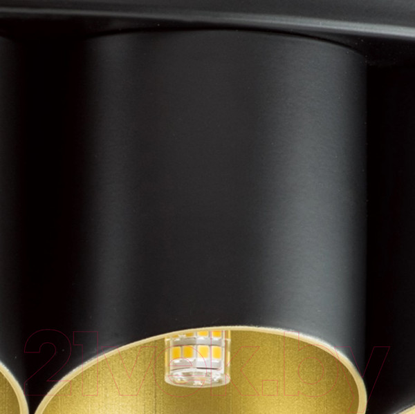 Изображение товара Люстра Lightstar Siena 720407 (MX2095/40A)