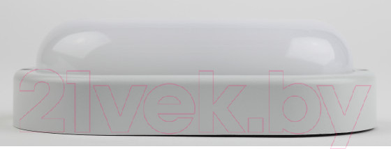 Изображение товара Светильник ЖКХ ЭРА SPB-202-0-65K-012 / Б0047622