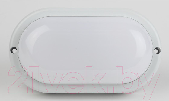 Изображение товара Светильник ЖКХ ЭРА SPB-202-0-65K-012 / Б0047622