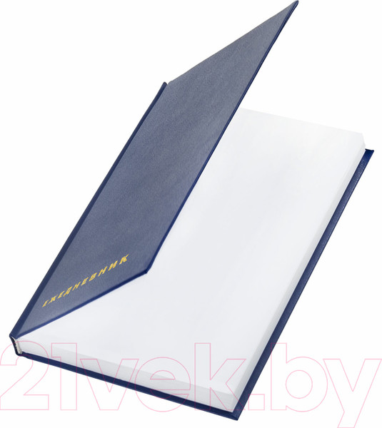 Изображение товара Ежедневник Brauberg 123327 (синий)