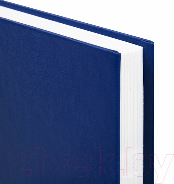 Изображение товара Ежедневник Brauberg 123327 (синий)