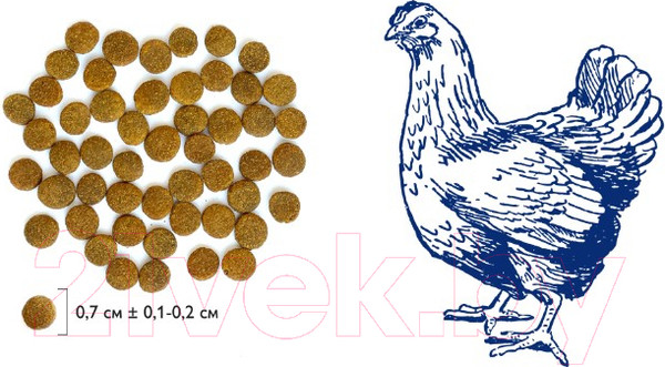 Изображение товара Сухой корм для кошек Brit Premium Cat Adult Chicken / 5049646 (2кг)