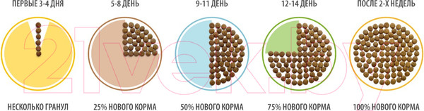 Изображение товара Сухой корм для кошек Brit Premium Cat Adult Chicken / 5049646 (2кг)