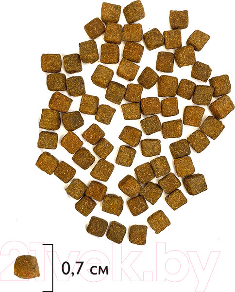 Изображение товара Сухой корм для кошек Brit Premium Cat Kitten с курицей / 5049677 (2кг)