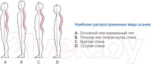 Изображение товара Корректор осанки Польза 0502 (р.1, черный)