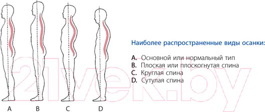 Изображение товара Корректор осанки Польза 0506 (р.2, черный)