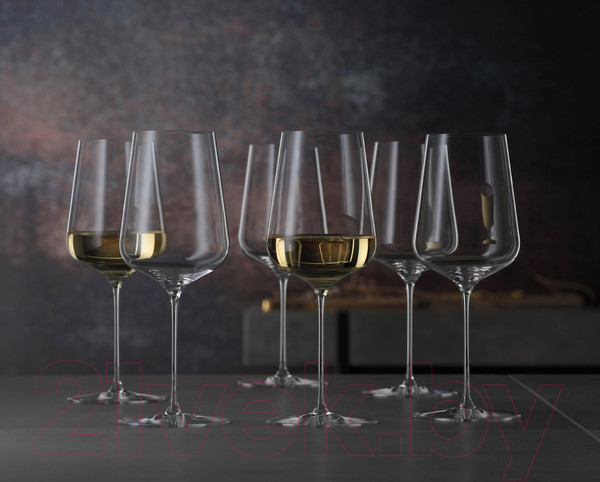 Изображение товара Набор бокалов Spiegelau Universal Glass Definition / 1350161 (2шт)