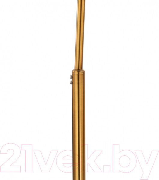 Изображение товара Торшер Arte Lamp Paolo A5822PN-1PB