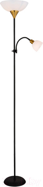 Изображение товара Торшер Arte Lamp Duetto A9569PN-2BK