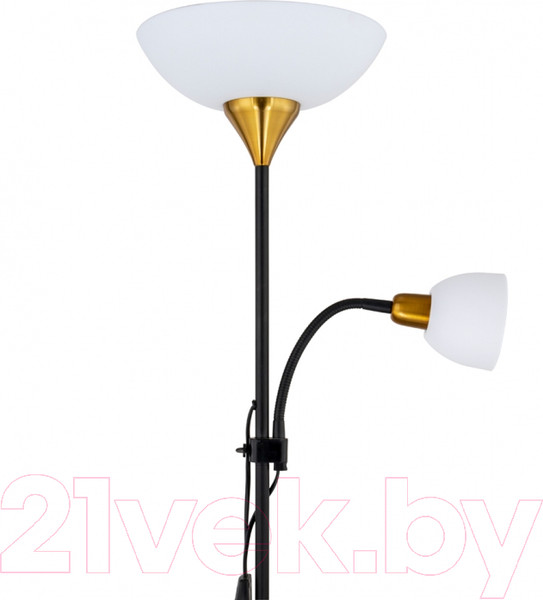 Изображение товара Торшер Arte Lamp Duetto A9569PN-2BK