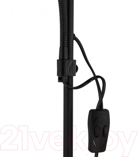 Изображение товара Торшер Arte Lamp Duetto A9569PN-2BK