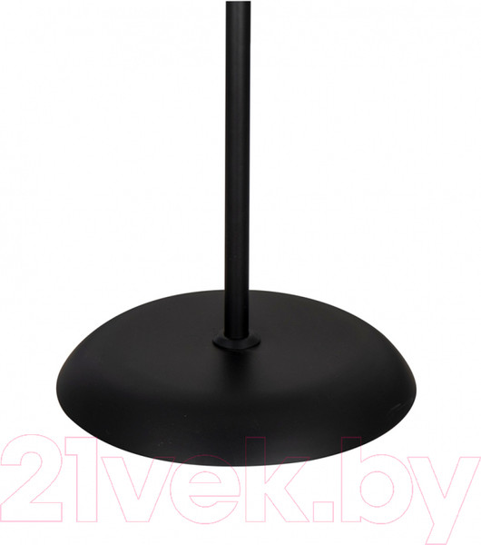 Изображение товара Торшер Arte Lamp Duetto A9569PN-2BK