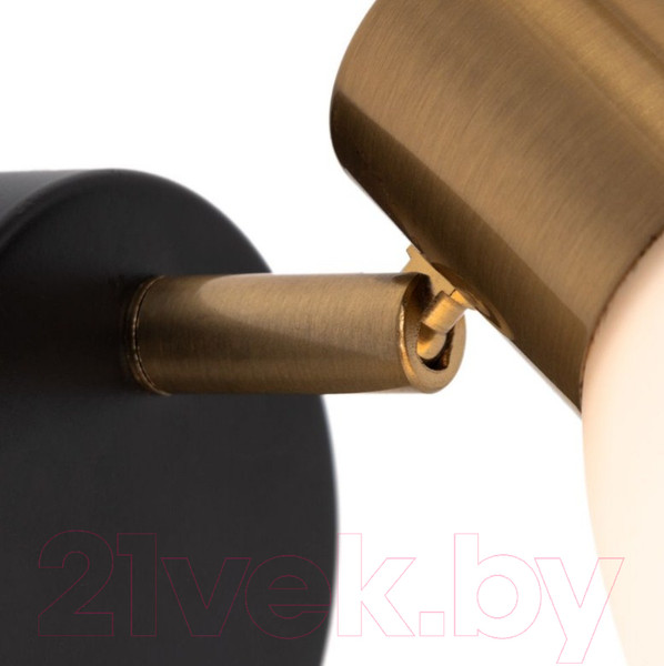 Изображение товара Спот Arte Lamp Falena A3117AP-1BK